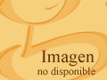 imagen-no copia.gif